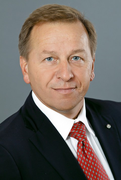 Foto Kirschbaum