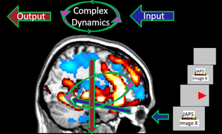 Brain Dynamics