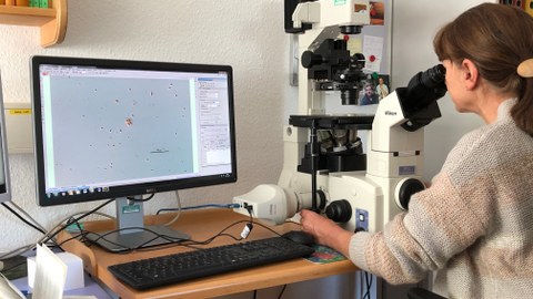 Foto einer Frau. Sie schaut durch ein großes Mikroskop. Links neben ihr steht ein Tisch mit Computerbildschirm und Tastatur.