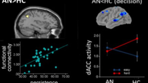 Research: Dysfunctions