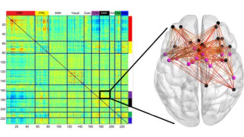 Research: Mechanisms