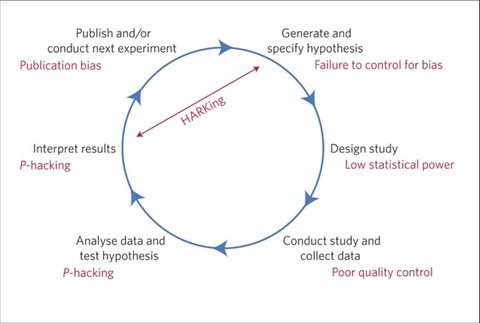 reseach cycle