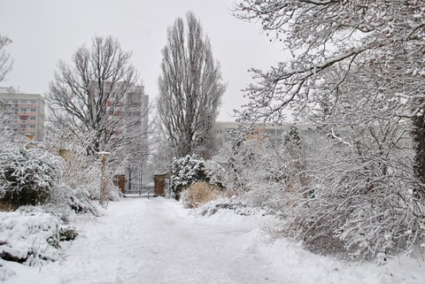 Verschneiter Botanischer Garten