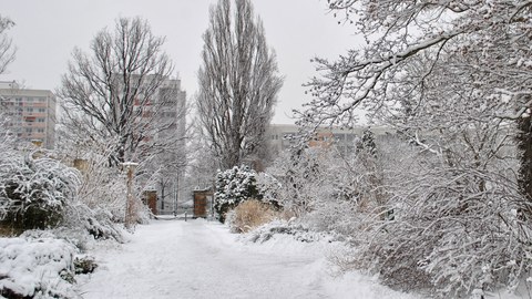 Verschneiter Botanischer Garten