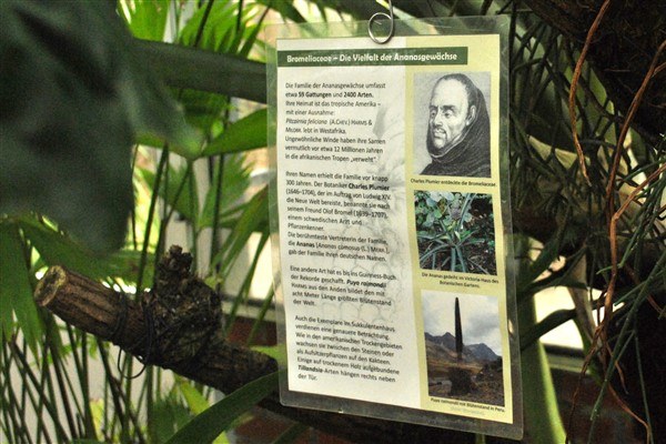 Plan Your Visit Botanical Garden Tu Dresden