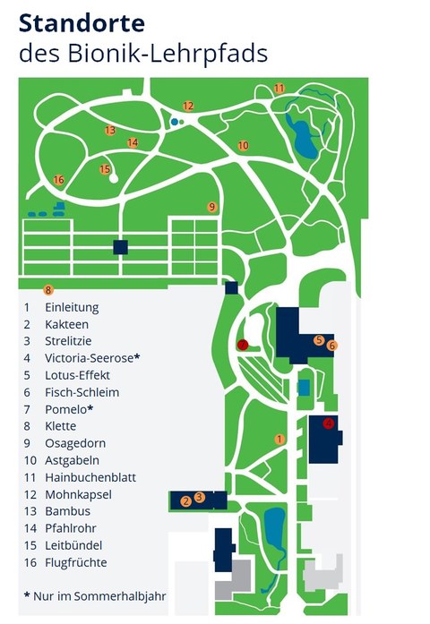 Die Übersichtskarte des Botanischen Gartens der TU Dresden zeigt die Standorte des Bionik-Lehrpfades