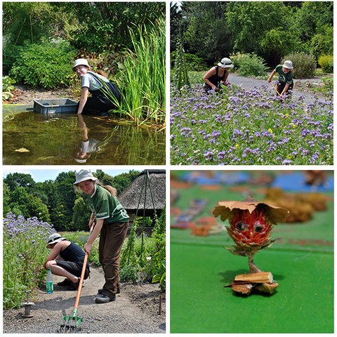 Fotocollage mit 4 Situationen aus dem Freiwilligen Ökologischen Jahr: Eine Freiwillige entfernt Wasserpflanzen aus dem Teich. Zwei Freiwillige arbeiten in einer Gründüngungsfläche und jäten Unkraut. Spielfigur, die Rahmen einer Projektarbeit entstand.