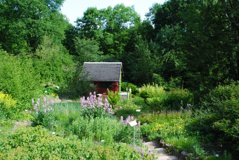 Blick in den Garten