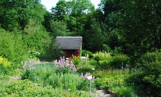 Blick in den Garten