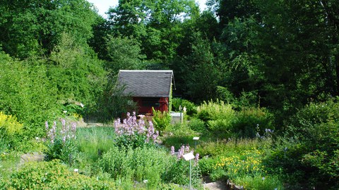 Blick in den Garten