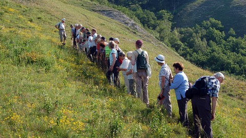 Exkursion im Naturschutzgebiet