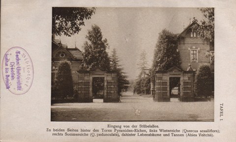 Historische Fotografie des Gartenportals von 1927. Das Portal selbst ist in der gezeigten Form mit zwei kleineren Seiten Toren und einem großen mittleren Tor noch heute erhalten. 