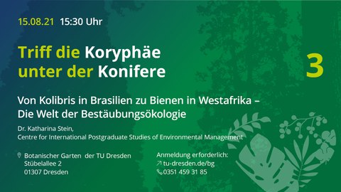 Graphik zur Ankündigung der Veranstaltung "Triff die Koryphäe unter der Konifere"