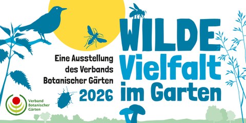 Textbanner zum Bewerben der WdBG