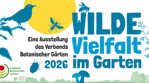 Textbanner zum Bewerben der WdBG