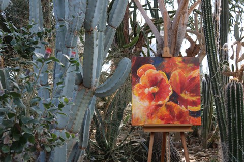 rote Blüten auf Leinwand vor Kakteenkulisse