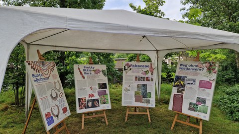 Plakate Posterausstellung WdBG Fabaceen