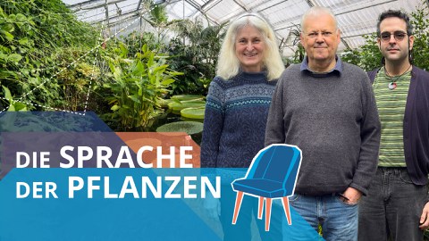 Drei Wissenschaftler*innen vor Pflanzen im Botanischen Garten