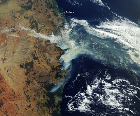 Buschbrand Australien
