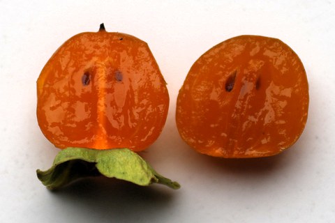 aufgeschnittene Frucht der Lotuspflaume