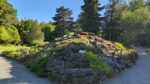 Alpinum Geländeansicht