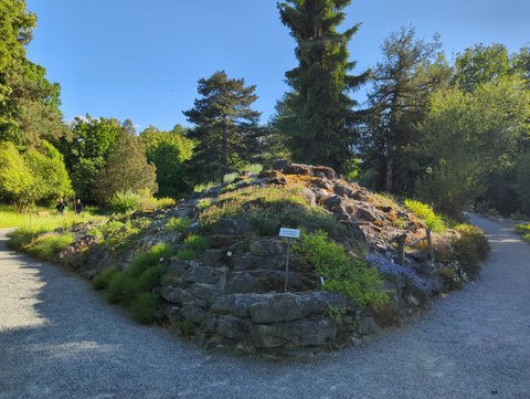 Alpinum Geländeansicht