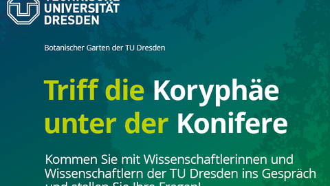 Ankündigungstext Veranstaltungsreihe