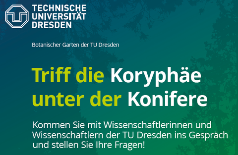 Ankündigungstext Veranstaltungsreihe