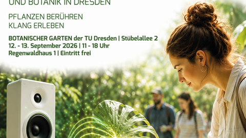Frau berührt Blatt einer Monstera Pflanze