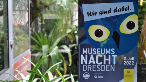 Das Werbeplakat zur Museumsnacht Dresden am 2. Juli 2022 hängt an der Tür zum Orchideen- und Wüstenpflanzenhaus. Im Hintergrund sind Pflanzen zu erkennen.