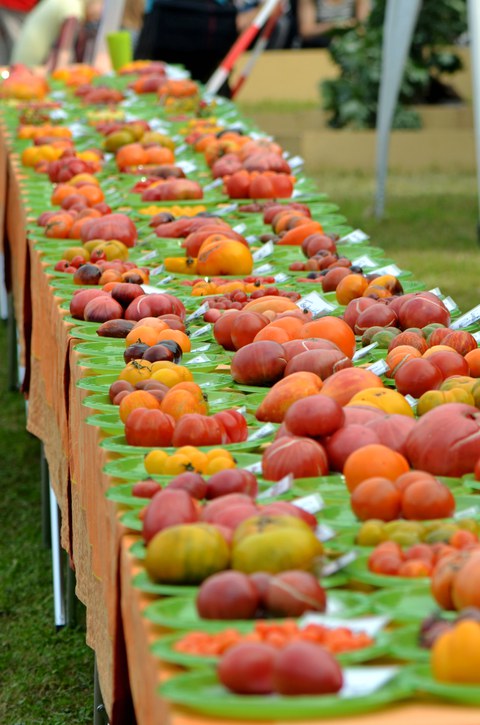 Am Stand von Gärtnerin Birgit Kempe sind unzählige Tomatensorten auf Tellern drapiert