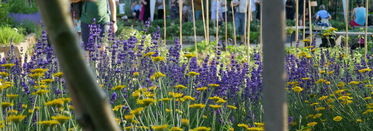 BOT Botanical Garden