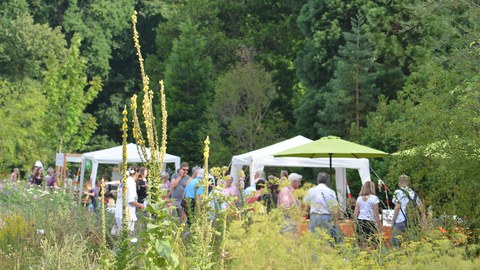 Besucher:innen unter Pavillons