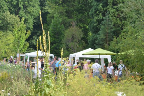 Besucher:innen unter Pavillons