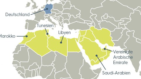 Übersicht der MENA Regionen