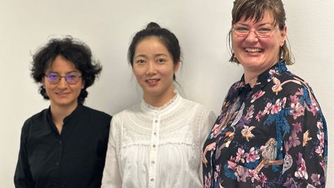 von links nach rechts die neuen Kollegiatinnen des Graduiertenkolleg Laura Amaya Shiyu Guo und Linda Ternova