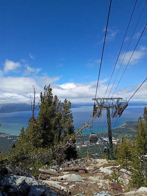 Blick von einem Berg, rechts verläuft ein Lift, auf das darunterliegende Tal und den See Lake Tahoe mit türkisfarbenem Wasser. 
