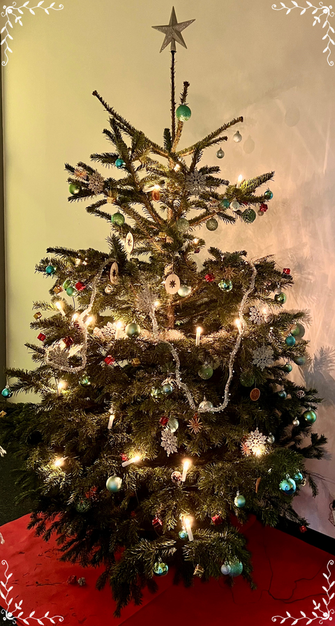 Weihnachtsbaum des Graduiertenkolleg 2023