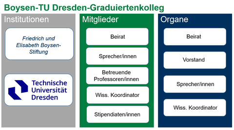 Eine englische Tabelle verdeutlicht die Organisation des Graduiertenkollegs.