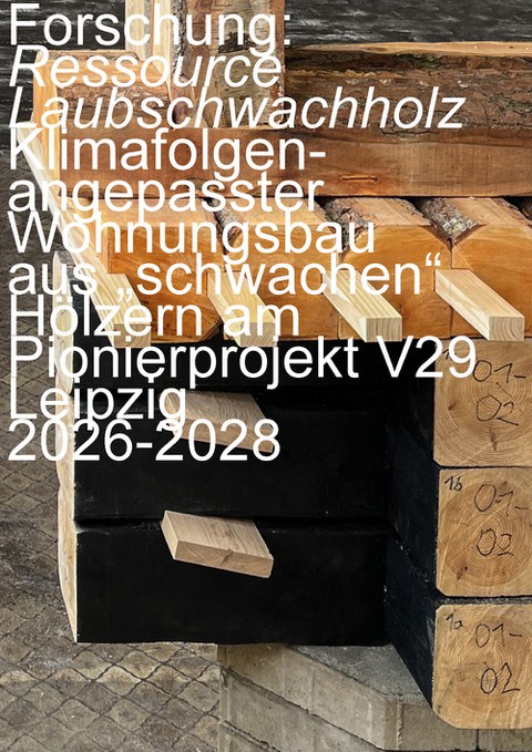 Forschung: Ressource Laubschwachholz