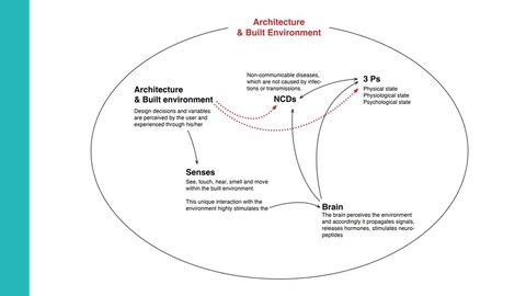 Schemata zur Dissertation von Rana Taher F. Abdelkader