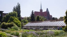 Botanischer Garten