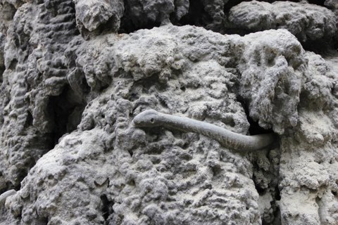 Fotos Exkursion Prag Mai 2014, Fotos Ivo Kindermann