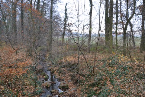 Sicht vor Freistellung