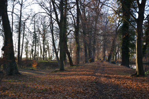 Parkimpression