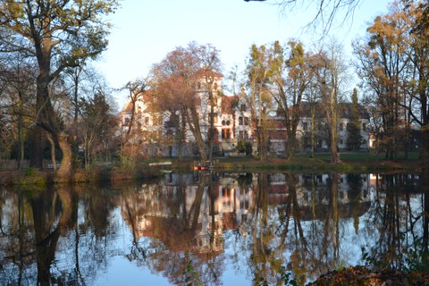 Parkimpression