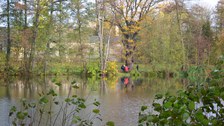 Thammenhain: Alteiche