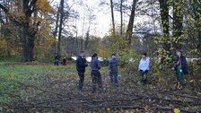 Thammenhain: nach Fällarbeiten