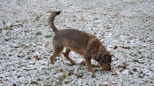 Thammenhain: Ebba