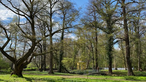 Blick über die Parkwiese von Schloss Jahnishausen zum Pavillon auf der Insel.